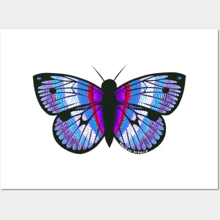 Pink Purple And Blue Butterfly Posters and Art